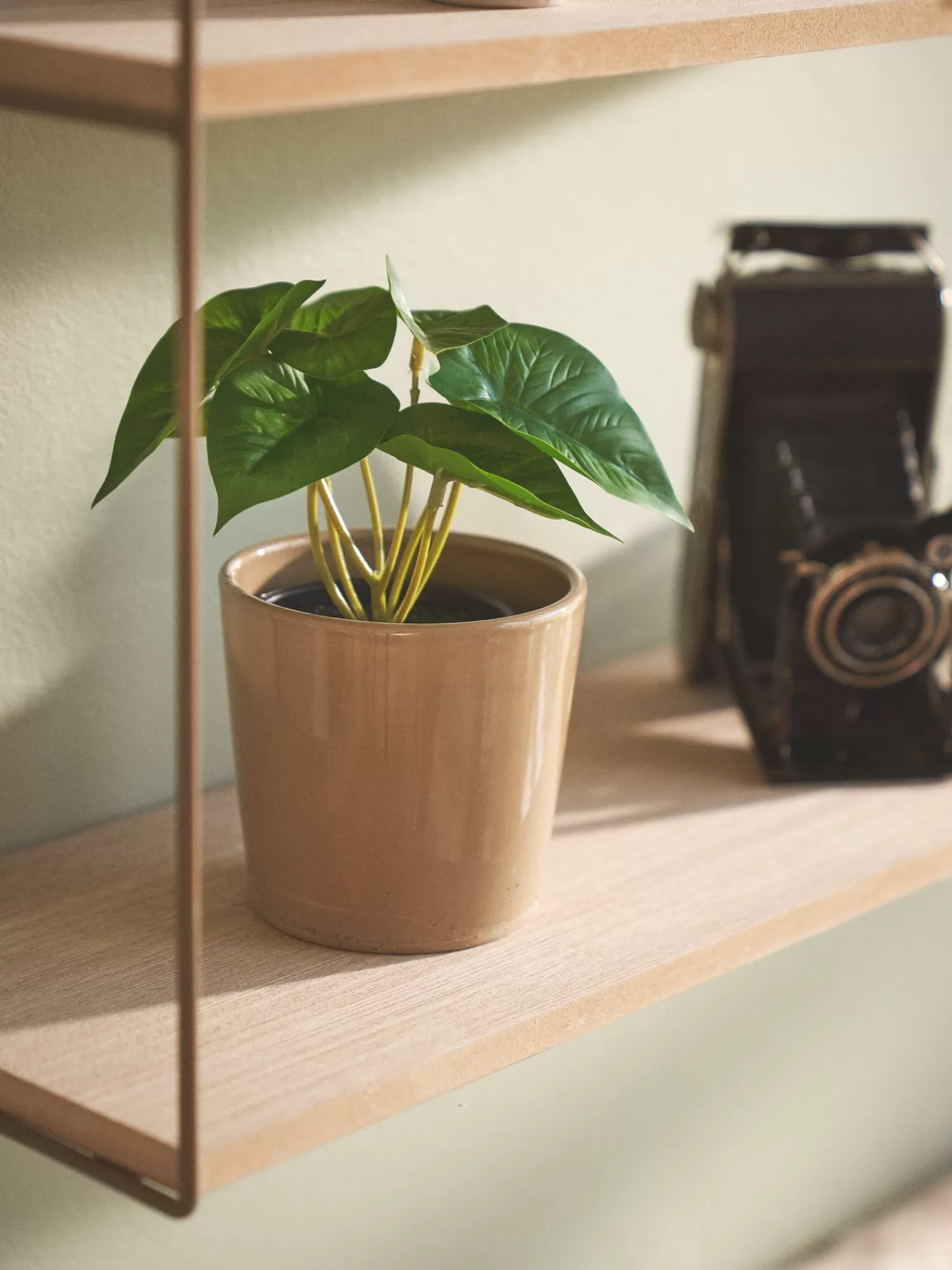 Søstrene Grene Kunstig Blomst I Potte Dark Green Outlet