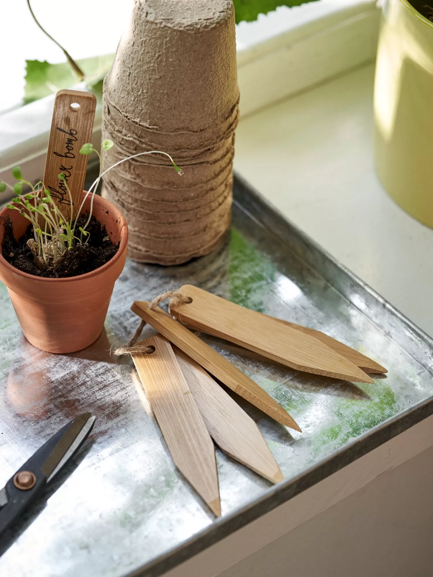 Søstrene Grene Plantepinde Nature Cheap