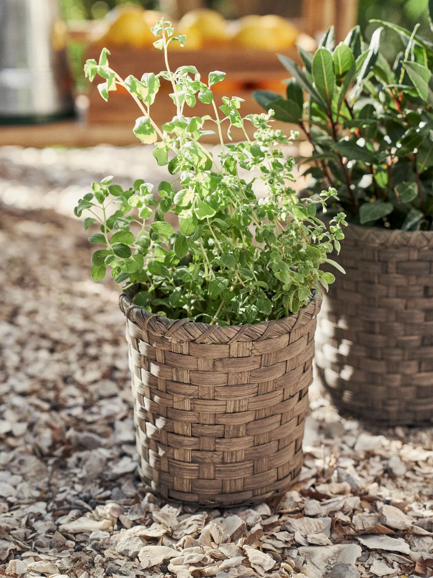 Søstrene Grene Urtepotteskjuler Grey Clearance